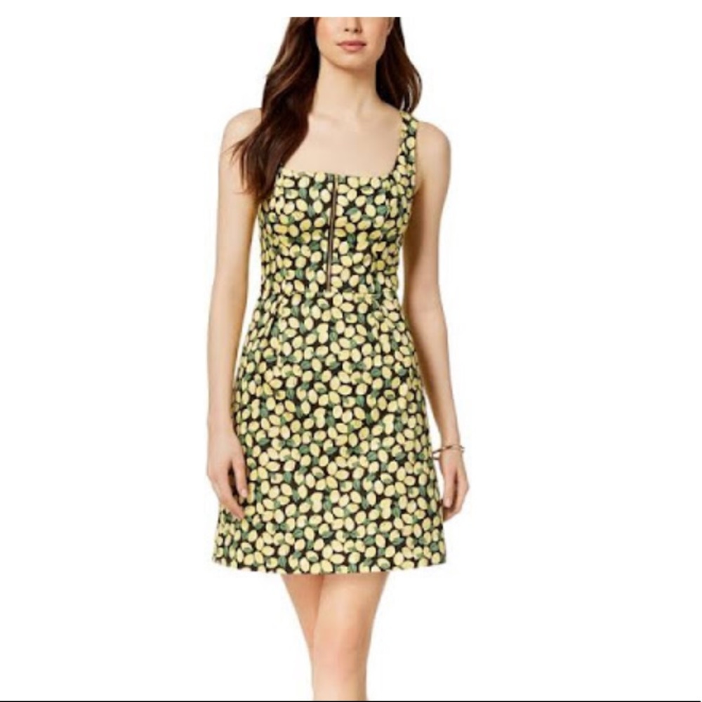 NEW MARKDOWN!! NWT Adrianna Papell Little Lemons Fit & Flare Size 14